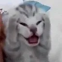 emoji_11