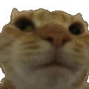 catno