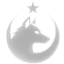 GOKTURK_LOGO