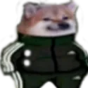 63421russiandoge