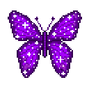 22799y2kpurplebutterfly