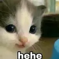 Hehe