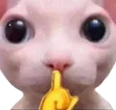 danimarka