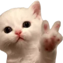 74605kittenpeace
