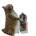 657914catmilk
