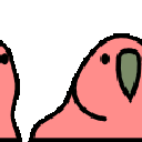 parrot