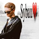 616522laynesybau