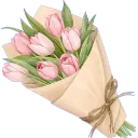 cicek