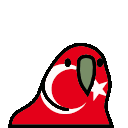 eternisturkeyparrot