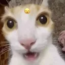 aa