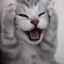 Aaaaaa