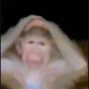 maymun