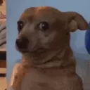 sasirankopke