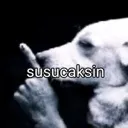 sus