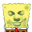 sungerbob