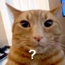 ne