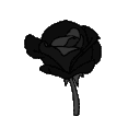 onur_rose