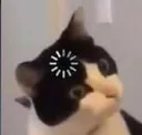 catloading