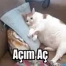 s2g__48