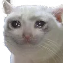 sosad2
