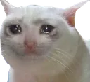 uzgnKedy