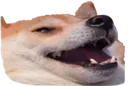 hehehe