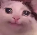 kediuzdu