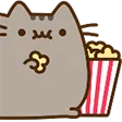 CuteCatPopcorn