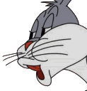 dp_no
