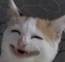 hihihihihihi