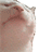 kedi