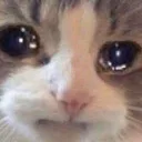 sad