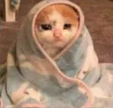 miuv