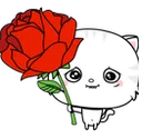 SQ_yelerose