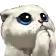 48