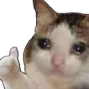 kv_okOwO