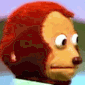 zwkward_monkey_look