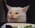zcat_confused