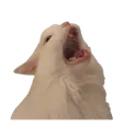 nooo