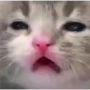 huu