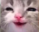 ehe