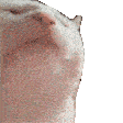 diptisdiptis