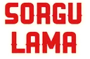 sorgulama