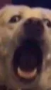 emoji_1