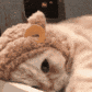 tdCuttingCat