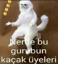 Nerdesiniz