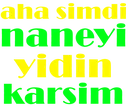 gifshot_nane