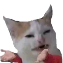 SETERRA_bunelan