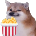 shibcorn