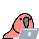 Frub_LaptopVibe